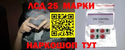 дмт Сланцы