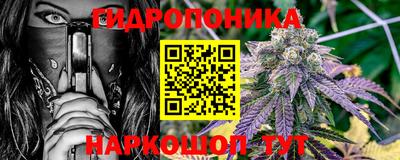 дмт Сланцы