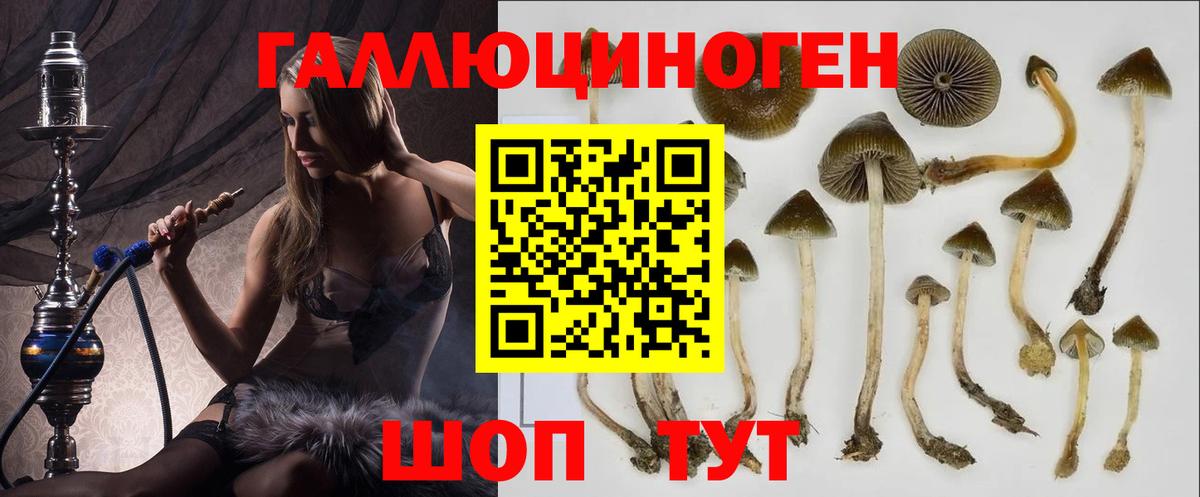 Мыски  Псилоцибиновые грибы мухоморы  Вход с VPN 